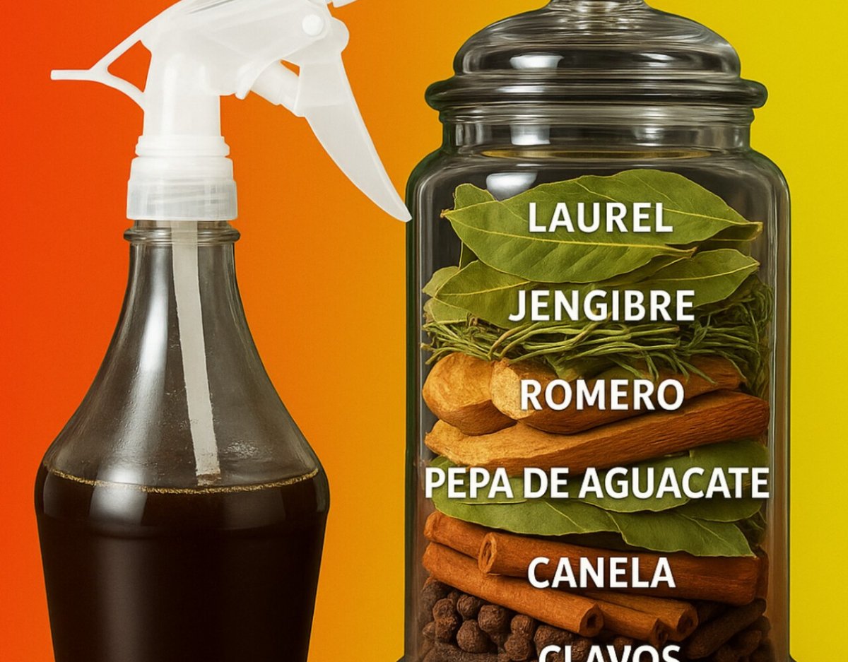 Potente remedio que te hará crecer cabello hasta en la frente
