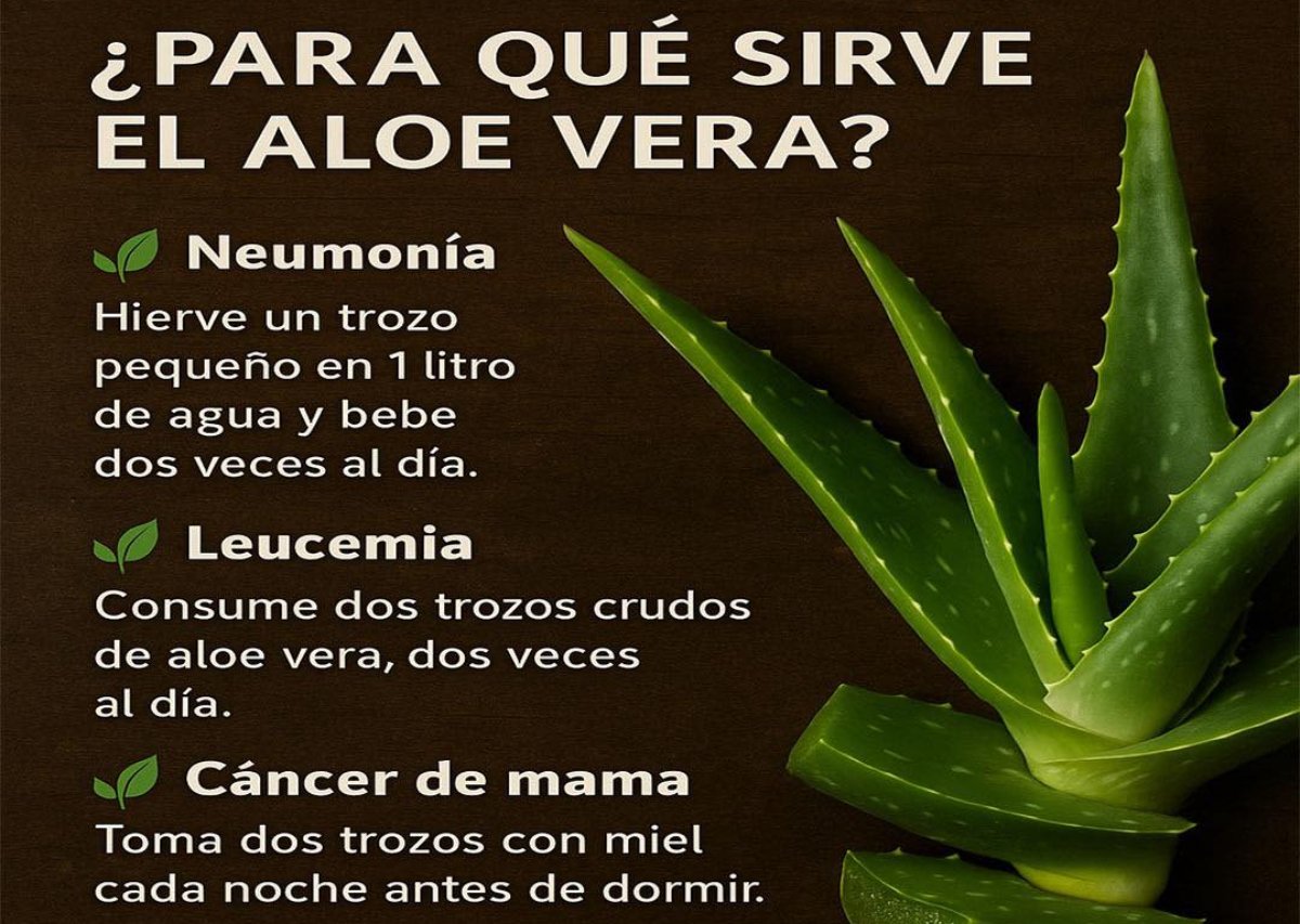 Para que sirve el aloe Vera