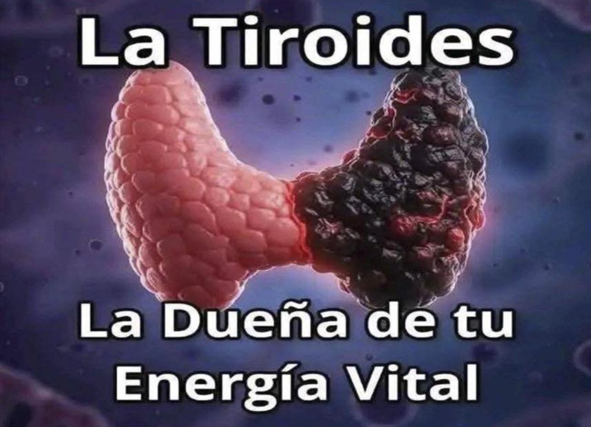 ALERTA! EL INSOMNIO PUEDE CAUSAR ESTO EN TU CEREBRO