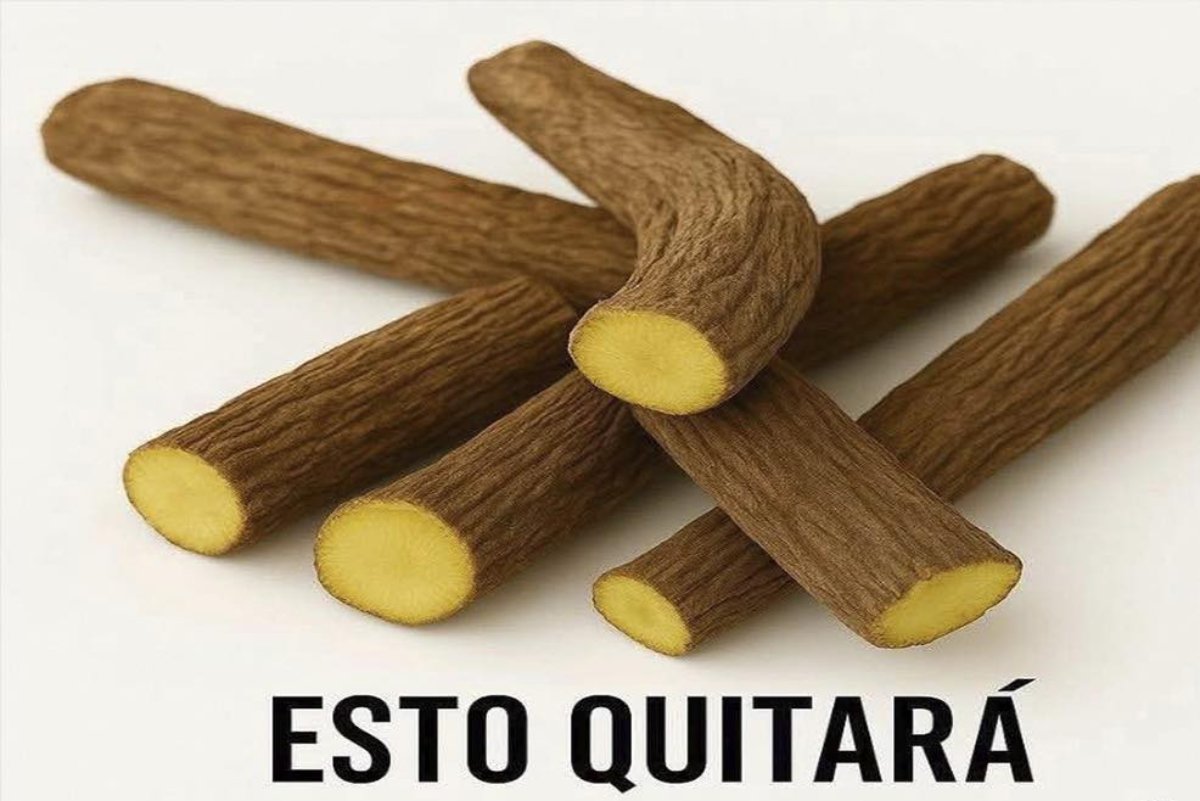 Infusiones que ayudan a quemar grasa: un empujón natural para bajar de peso