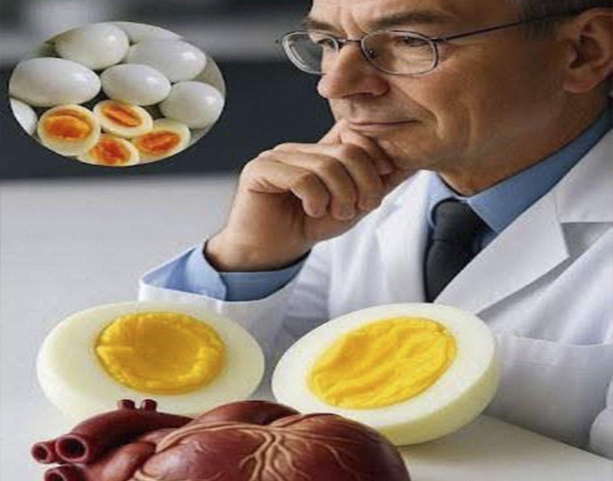 Médicos explican los impactos del consumo de huevo cocido en la salud