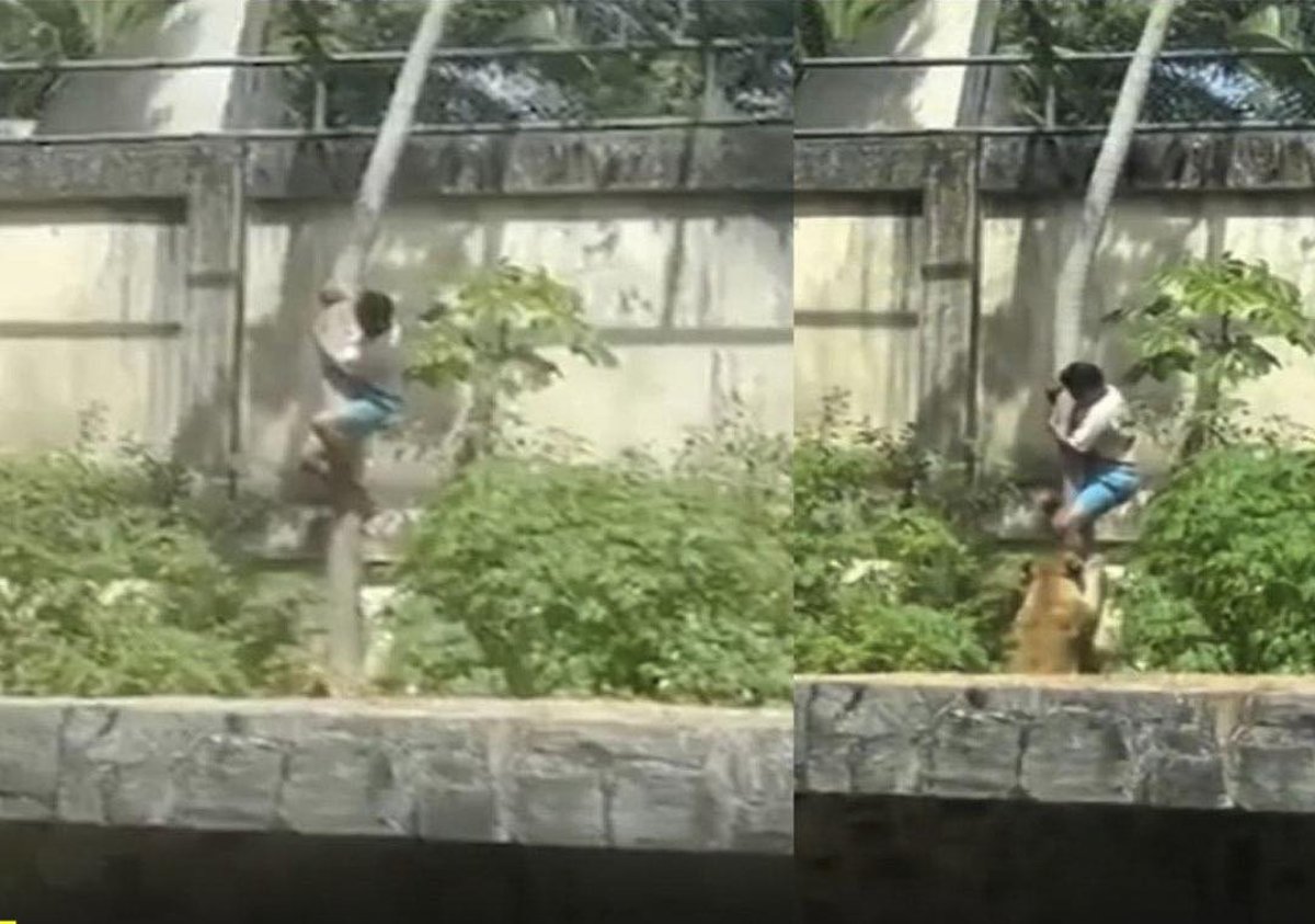 Ataque en zoológico de Brasil