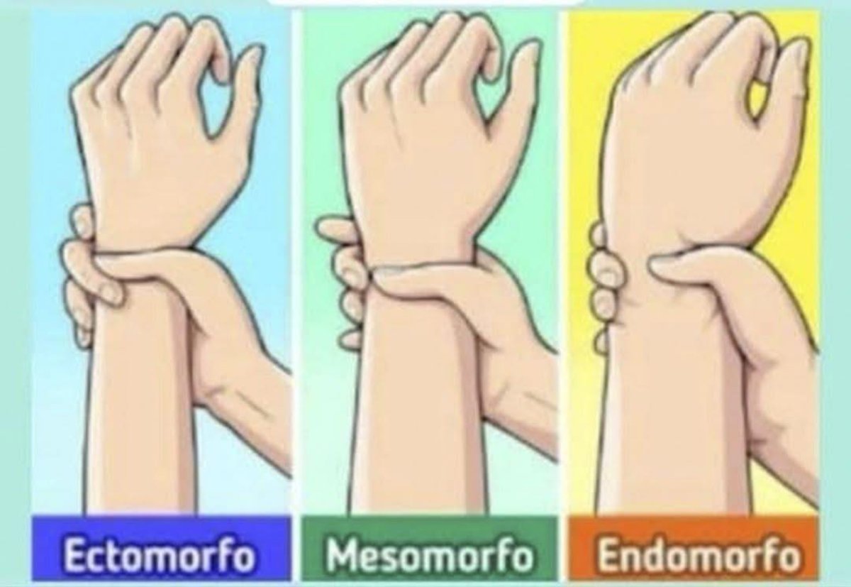 ¿Eres ectomorfo, mesomorfo o endomorfo? Descubre tu tipo de cuerpo y cómo sacarle provecho