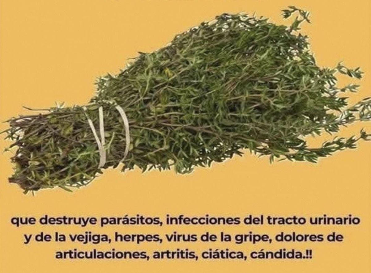 Beneficios de ingerir espirulina