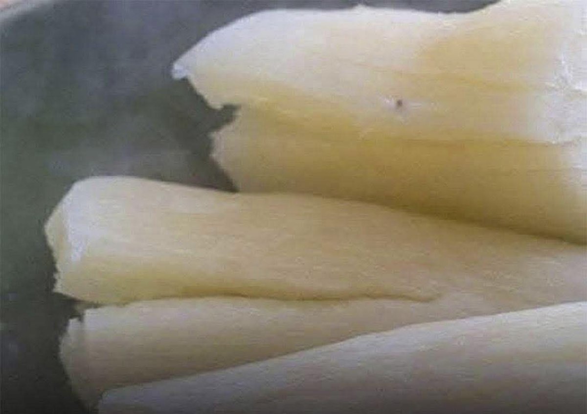 Yuca: un alimento nutritivo y a la vez peligroso