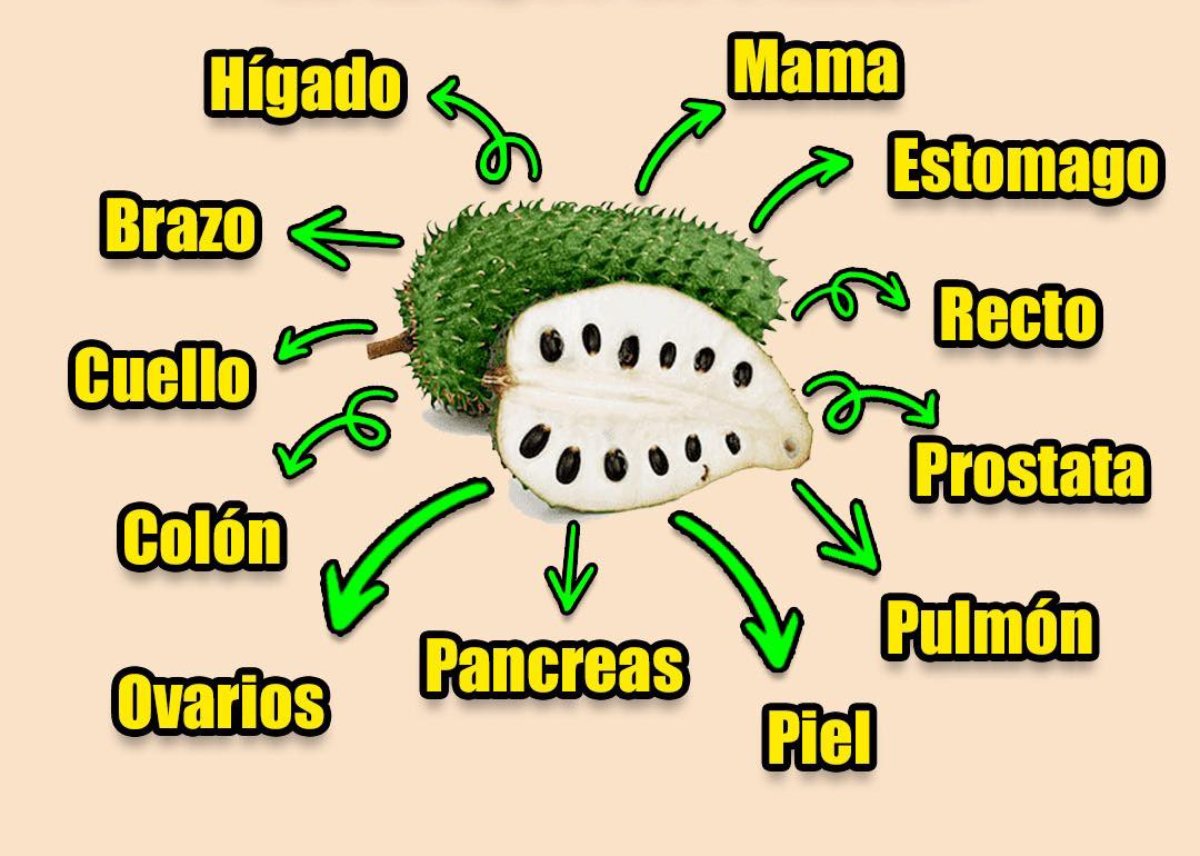 Beneficios de la Guanábana para la Salud y Remedios Caseros